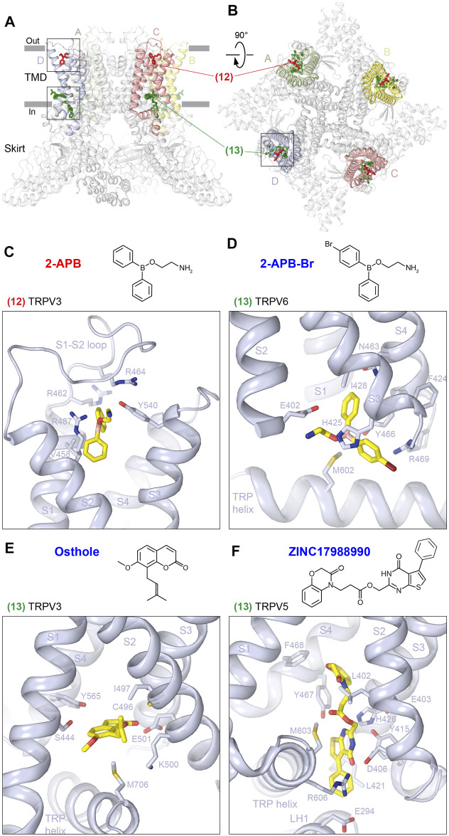 FIGURE 6