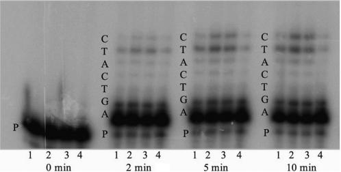 Figure 6.