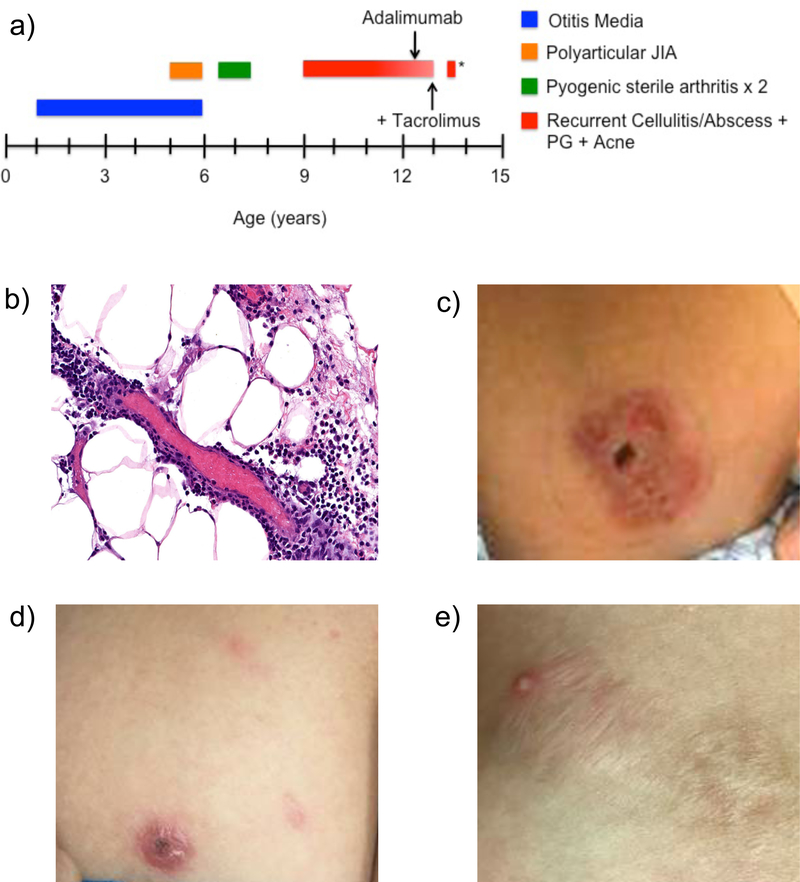 Figure 1: