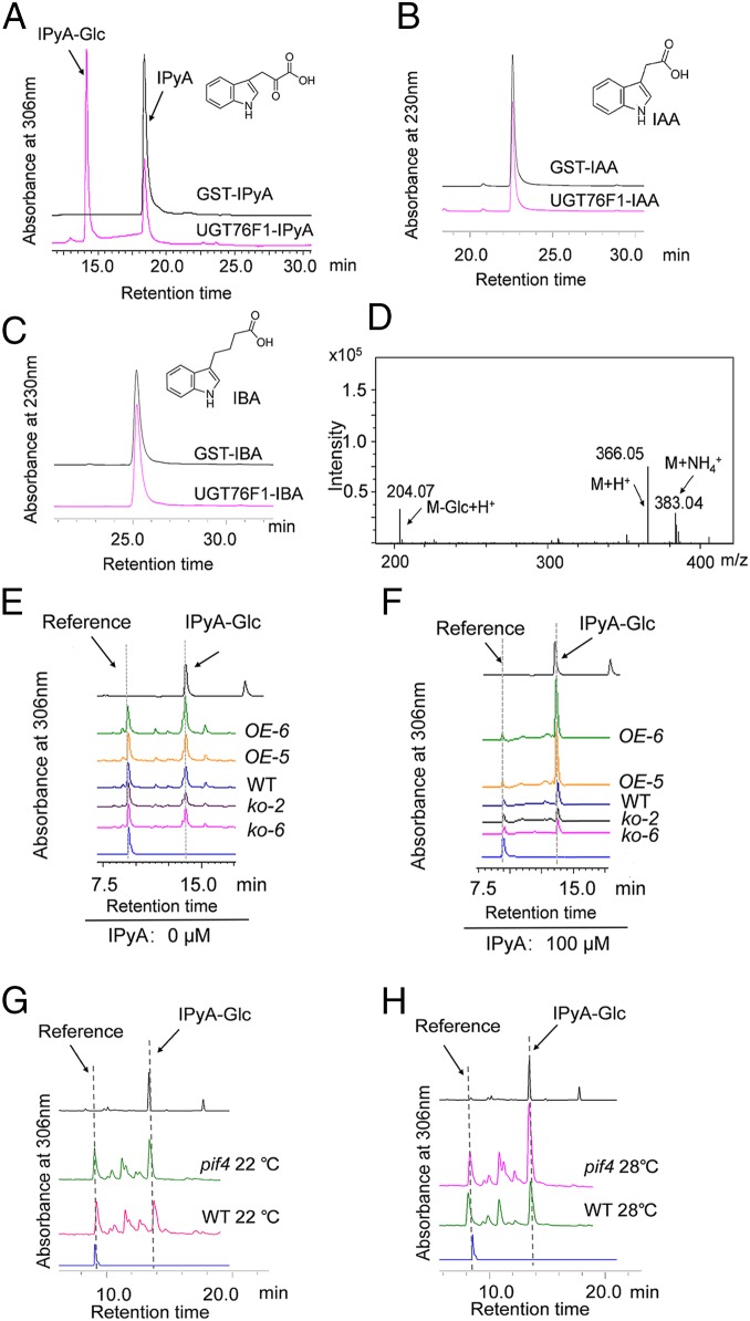 Fig. 6.