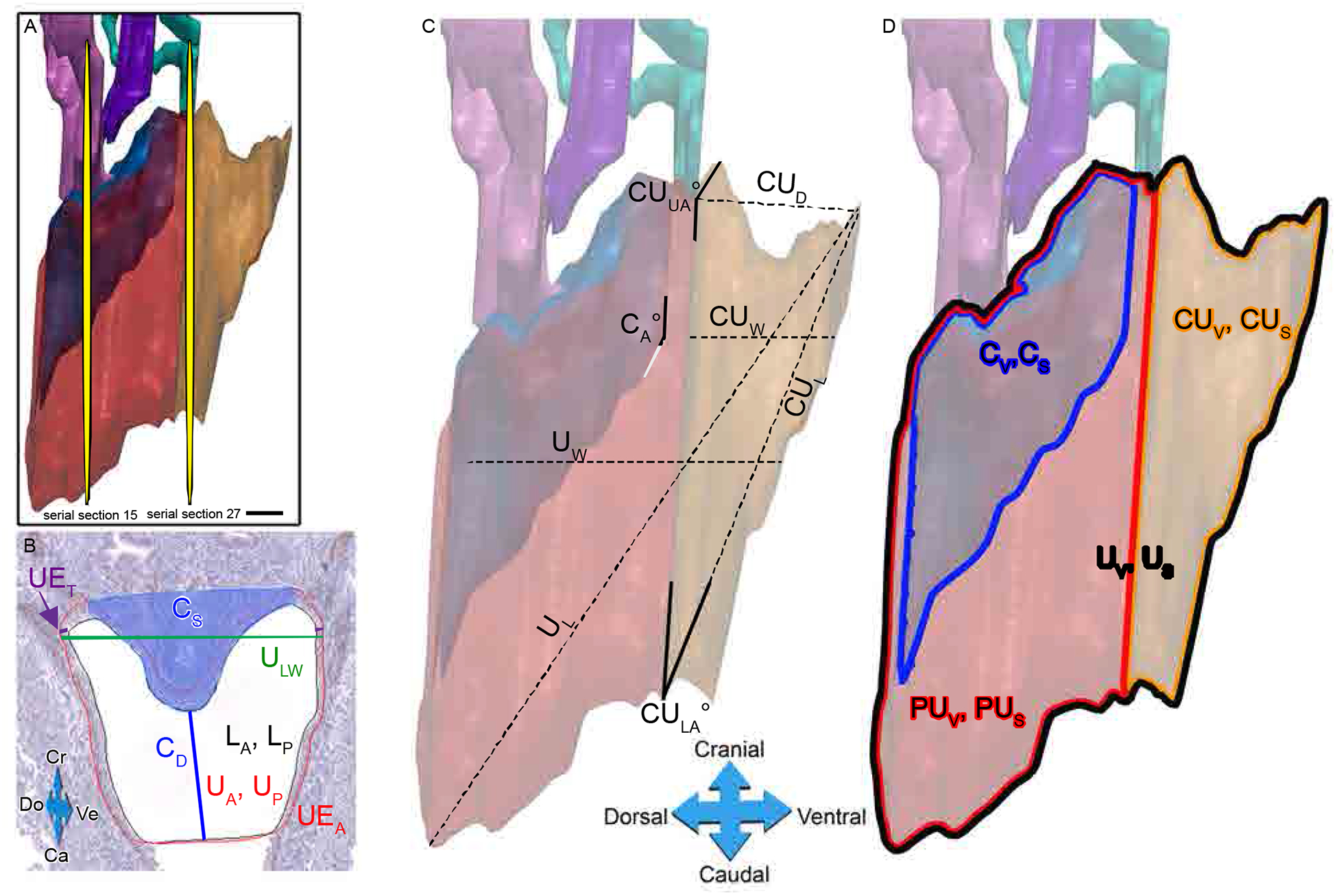 Fig. 3.