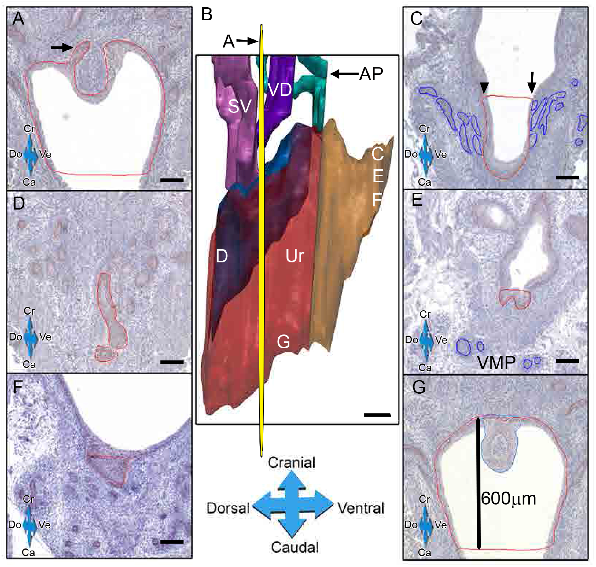 Fig 2.