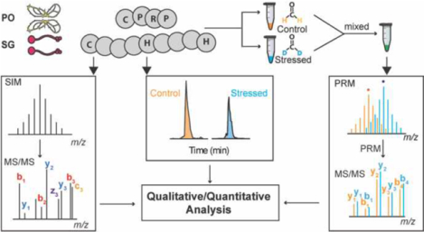 graphic file with name nihms-1675730-f0001.jpg