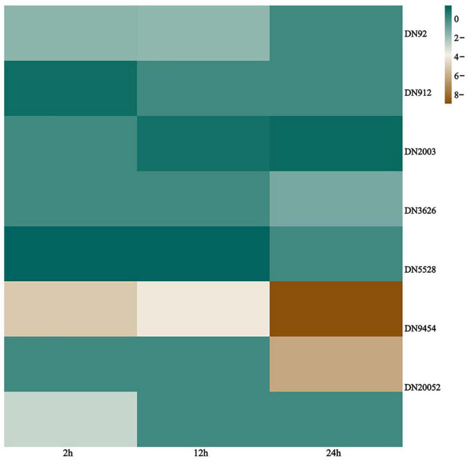 FIGURE 6