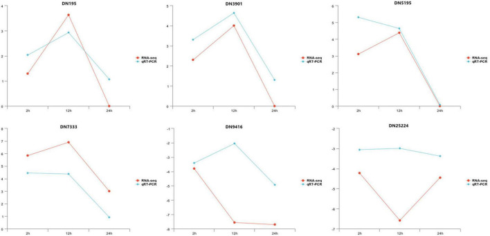 FIGURE 4