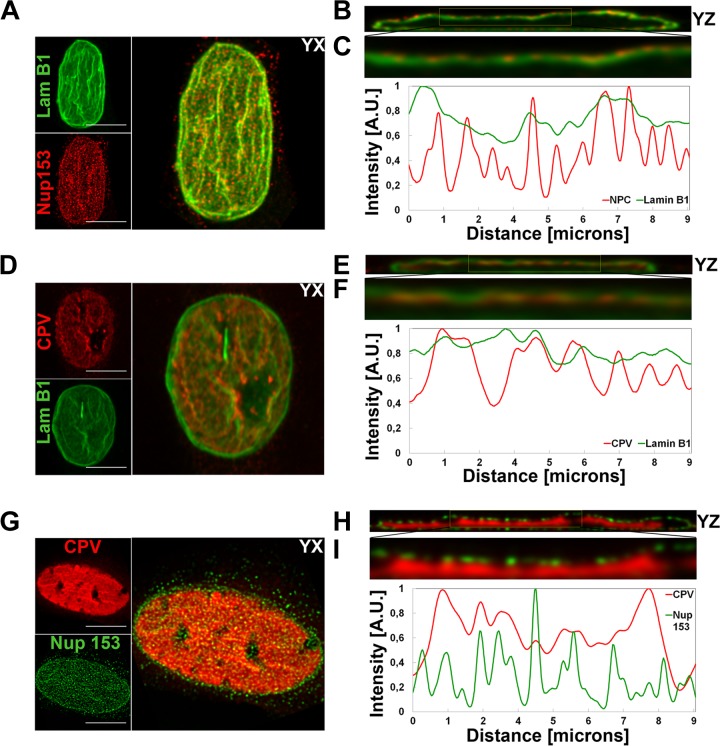 FIG 4