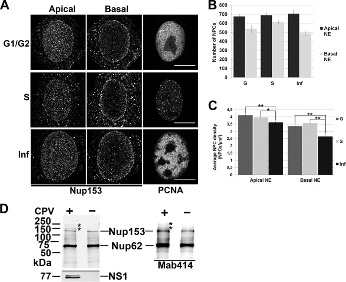 FIG 1