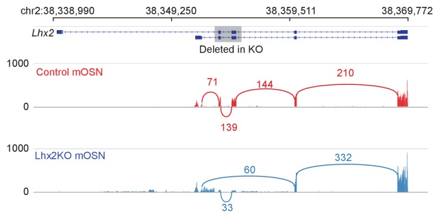 Figure 4—figure supplement 1.