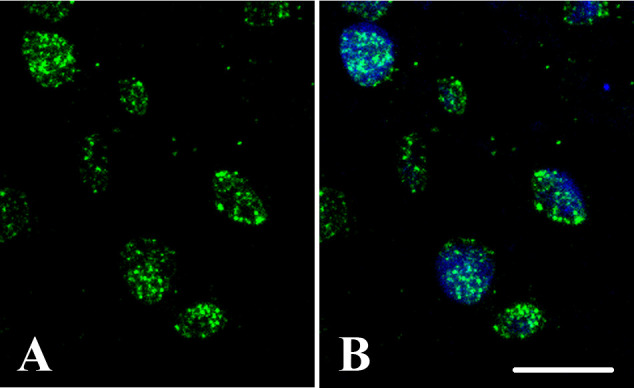 Figure 6