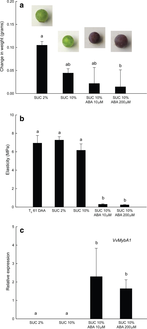 Fig. 6