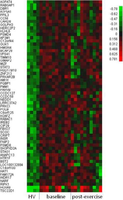 Figure 2A