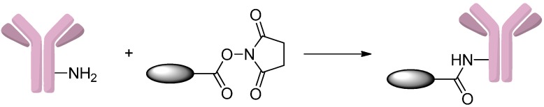 Scheme 8