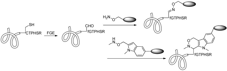 Scheme 14