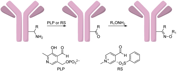 Scheme 17