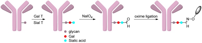 Scheme 16