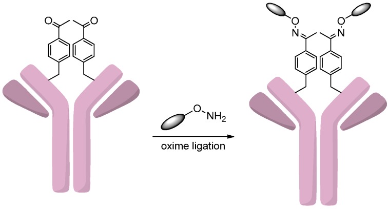 Scheme 15