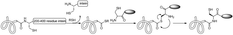 Scheme 6