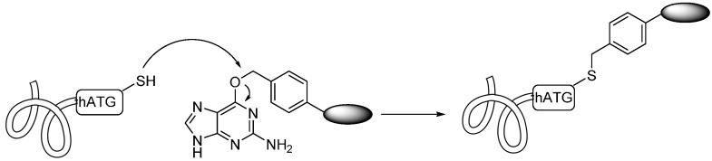 Scheme 7