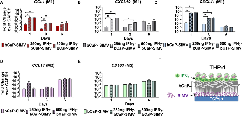 Figure 4: