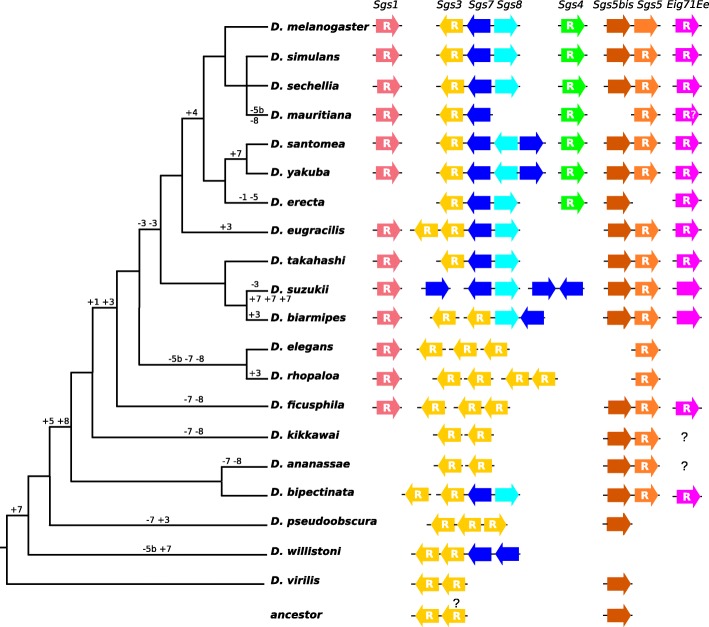 Fig. 1