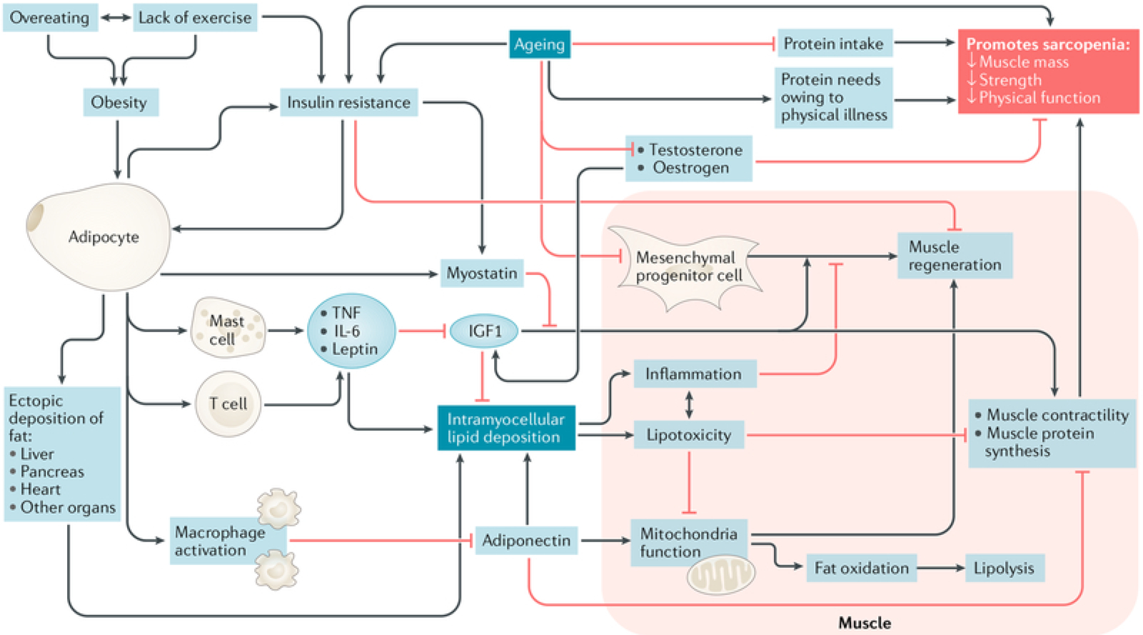 Figure 3:
