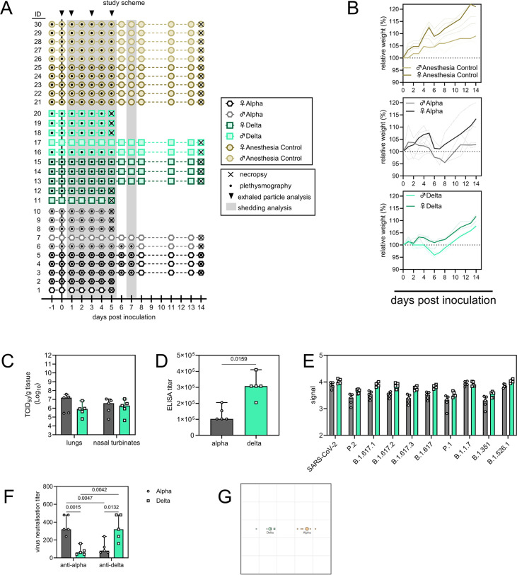 Figure 1—figure supplement 2.