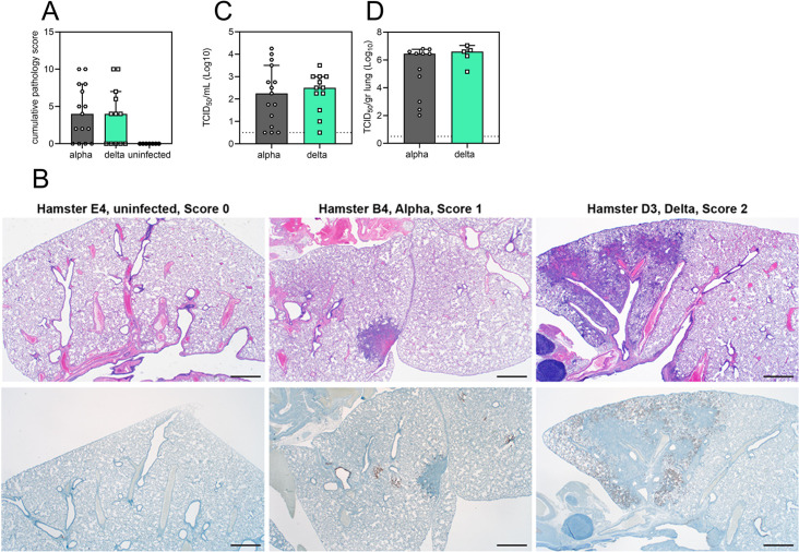 Figure 4—figure supplement 1.