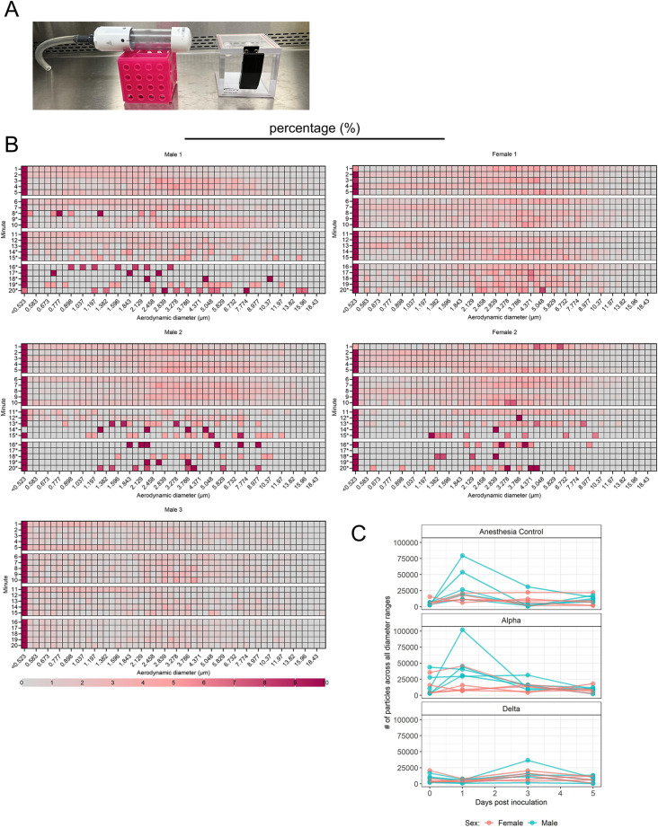 Figure 3—figure supplement 1.