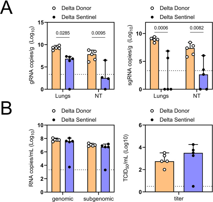 Figure 5—figure supplement 1.