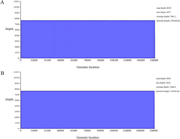 Figure 4