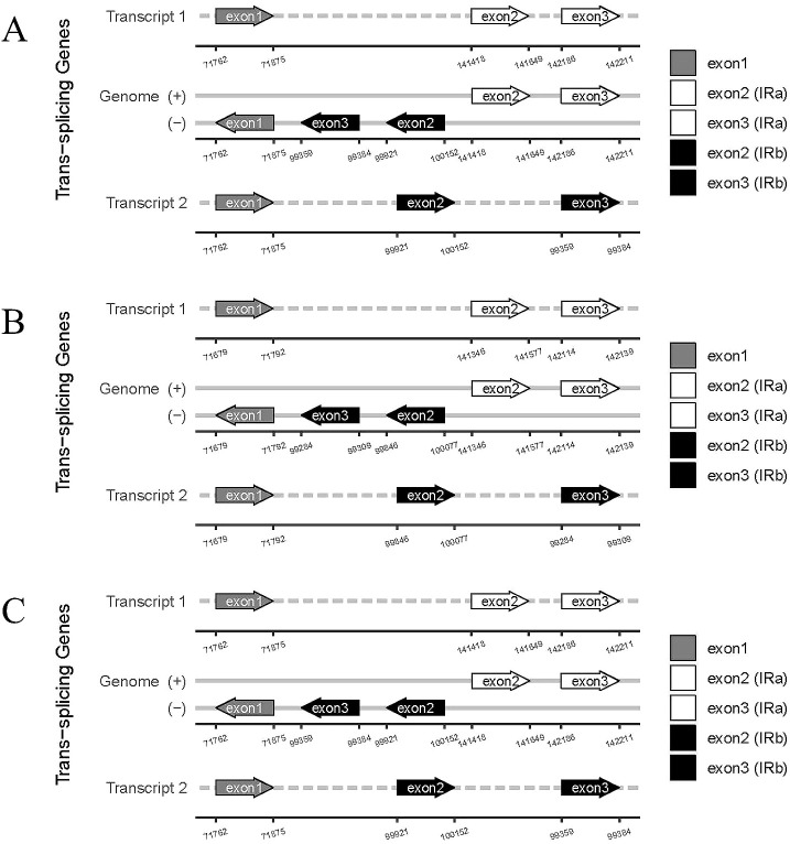 Figure 7