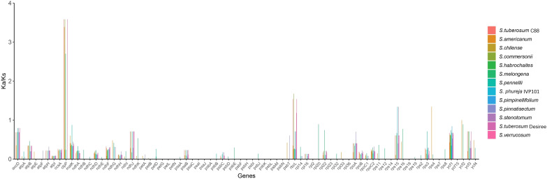 Figure 11