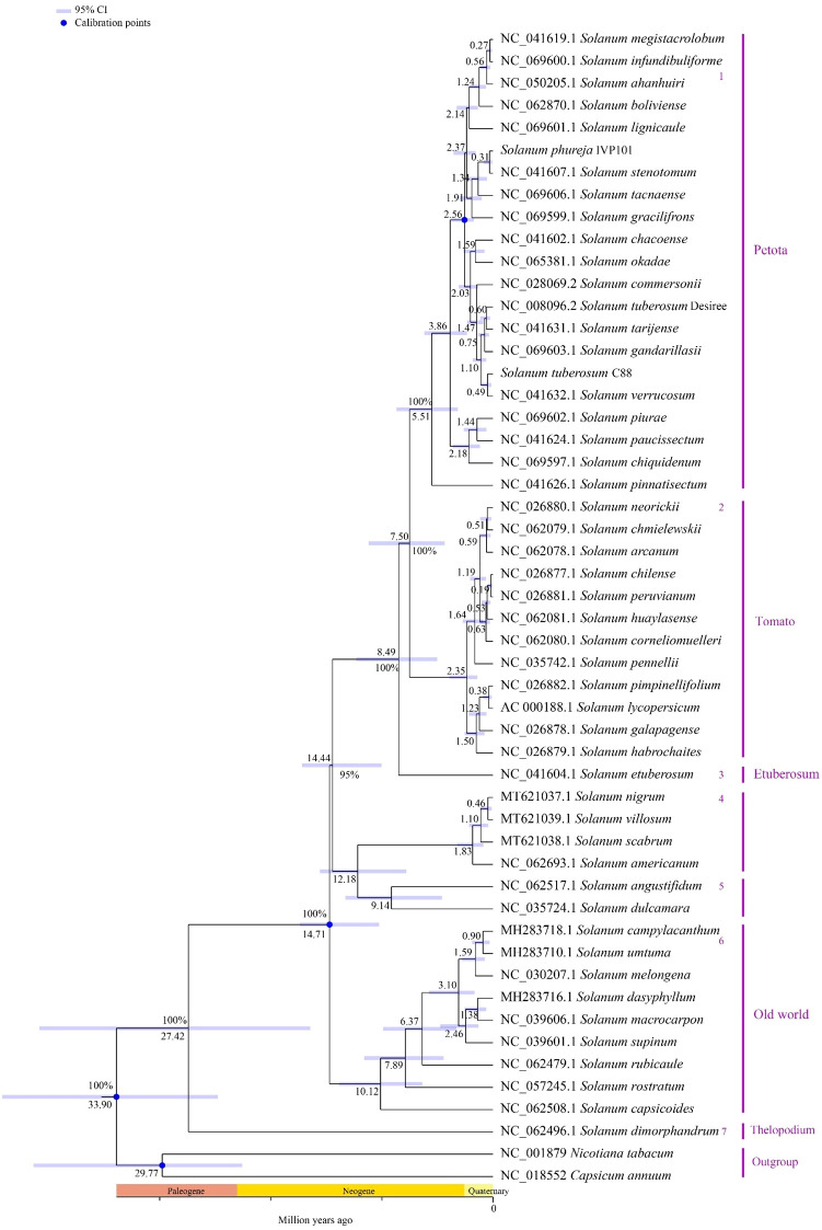 Figure 12