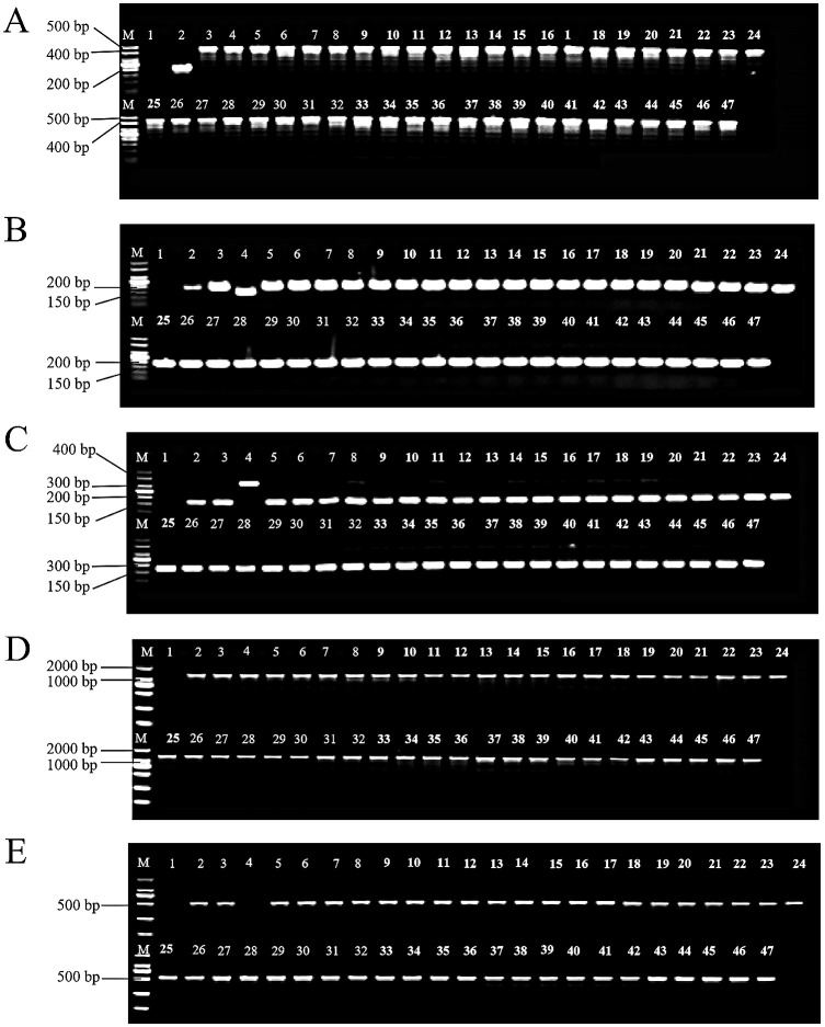 Figure 3