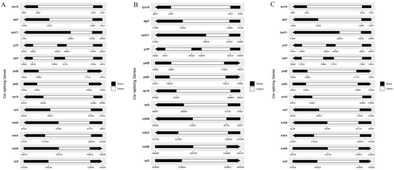 Figure 6