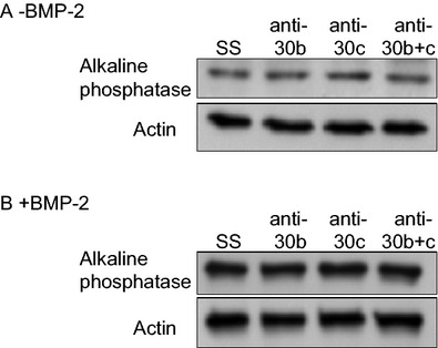 Figure 9.