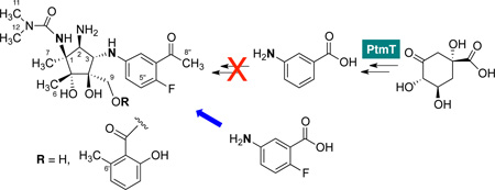 graphic file with name nihms459817f5.jpg