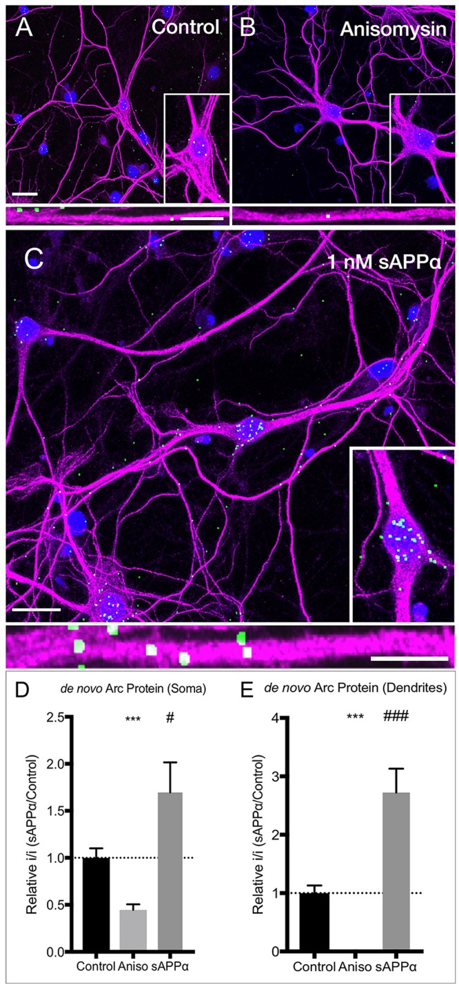 FIGURE 3