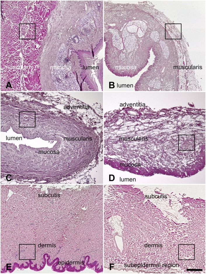 Fig 5