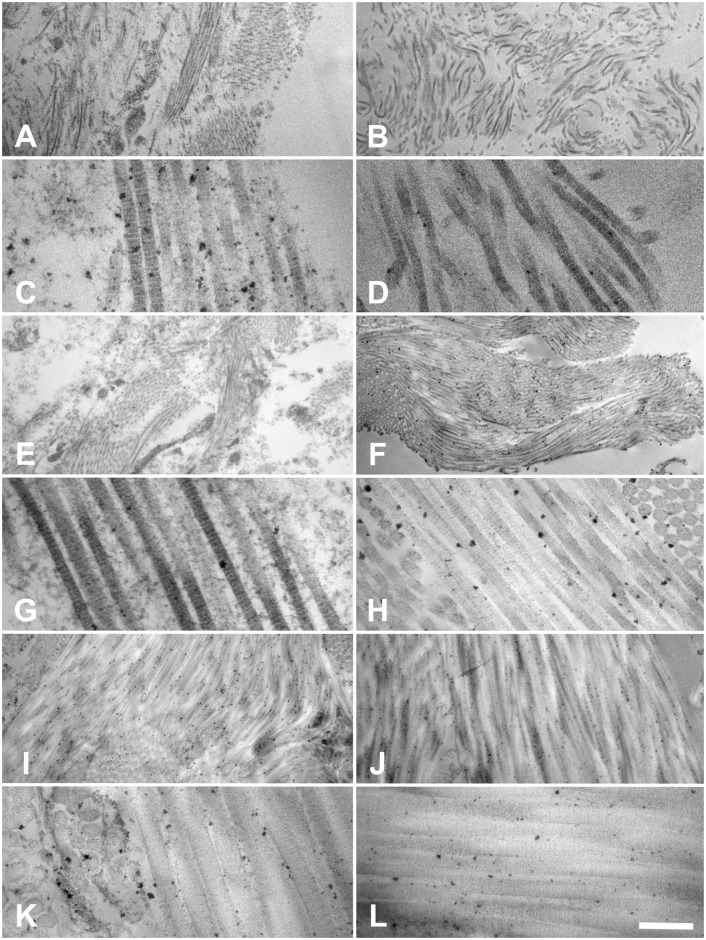 Fig 13