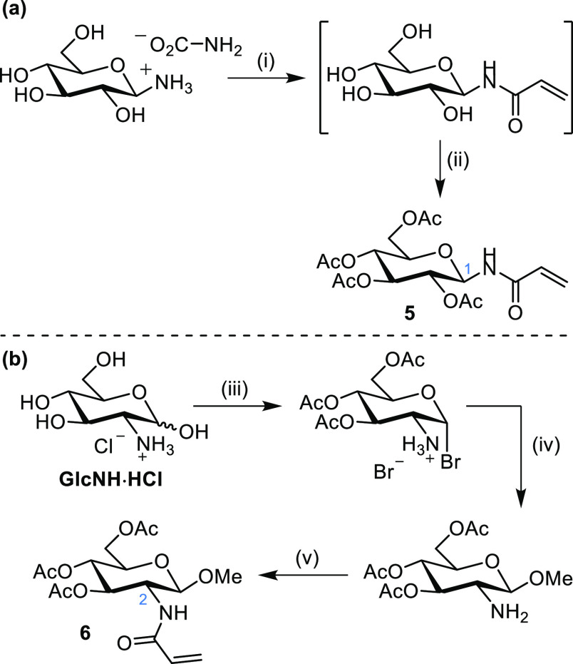 Scheme 4