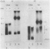 1286
