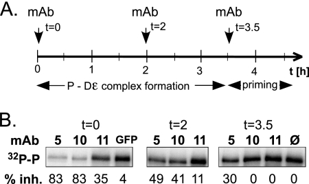 FIG. 7.