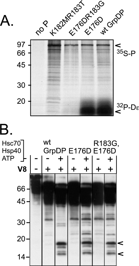 FIG. 8.