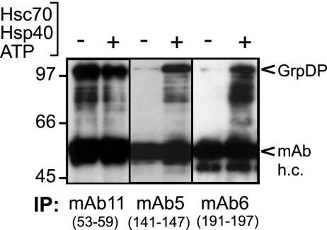 FIG. 5.