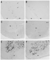 Fig. 11