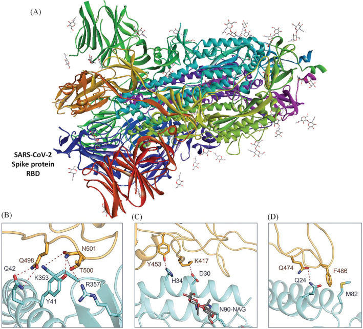 FIGURE 2