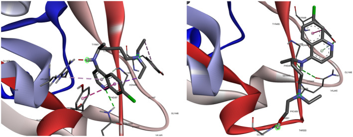 FIGURE 4