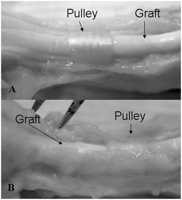 Fig. 8