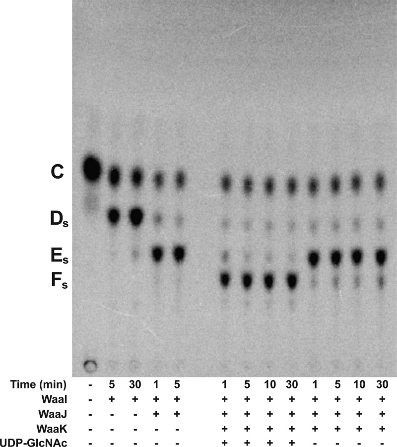 Figure 12